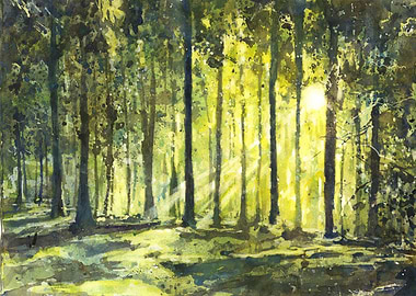 Sunlit Forest Watercolor Painting