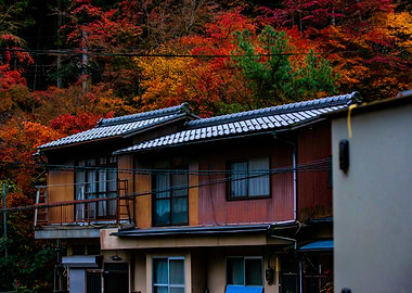 maison japonaise en automne