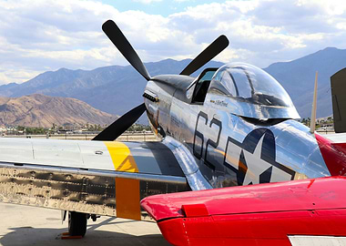 P-51 Mustang fighter plane close-up