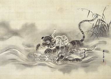Tiger Family in Stream