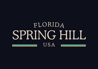 Florida Spring Hill USA Midnight