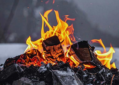 Burning Firewood with Flames and Smoke