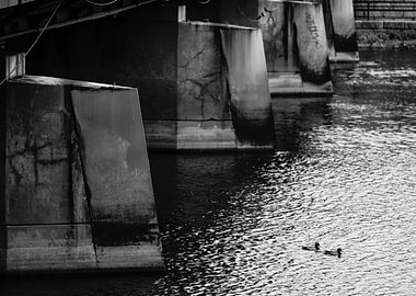 Black and White Bridge and Water
