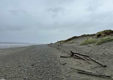 Overcast Beach with Driftwood and Person