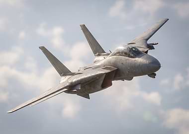 F-14 Tomcat in Flight