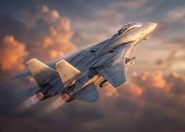 F-14 Tomcat in Flight