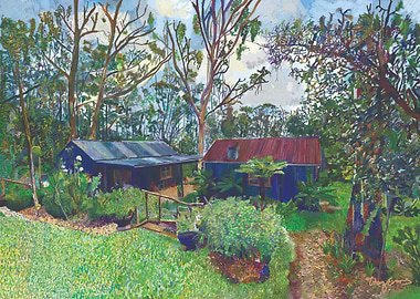 Blackheath, Blue Mountains Garden scape