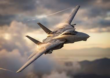 F-14 Tomcat in Flight