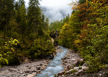 Mountain River Through Forest Landscape