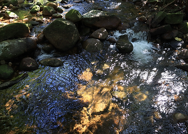 Sunlit Stream with Mossy Rocks