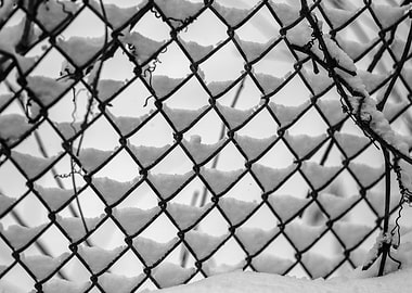 Snowy Chain Link Fence