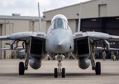 F-14 Tomcat Fighter Jet Front View