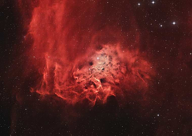 Flaming Star Nebula