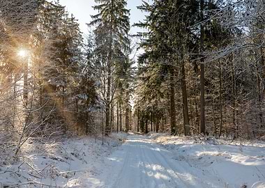 The beauty of winter