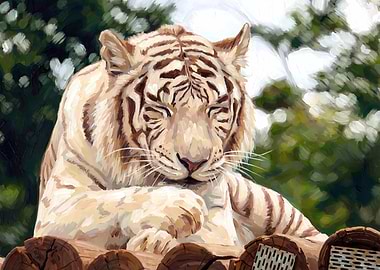Resting White Tiger Painting