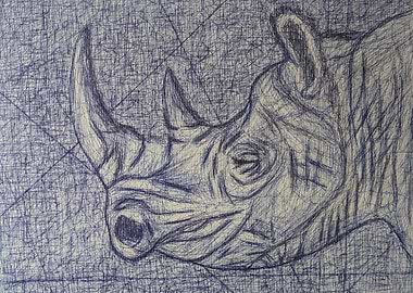 Rhino Pen Drawing