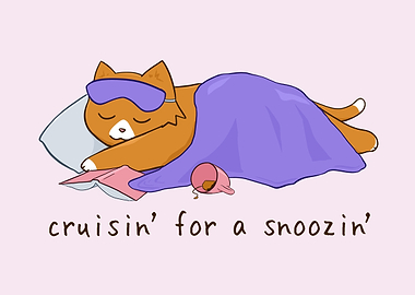 Cruisin' for a Snoozin' Napping Cat