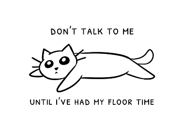 Don't Talk To Me Floor Time Cat
