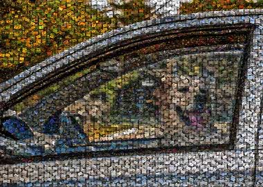 Freeform Mosaic of Control, Chaos, and a Dog