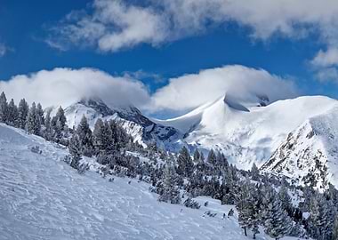Snowy Mountain Landscape with Pine Trees