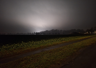 Night Landscape with Fog and Trees