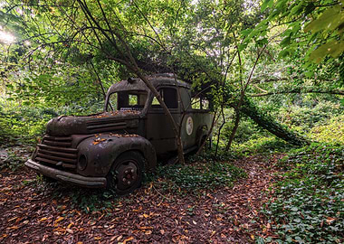 Abandoned Truck in Overgrown Forest