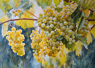 Painting of Green Grapes on the Vine
