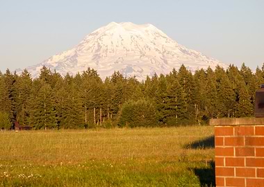 Snowy Mountain Landscape with Forest - Mount Rainier, Washington, USA