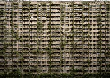Overgrown Apartment Building Facade