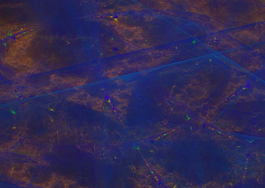 Lights in the Darkness