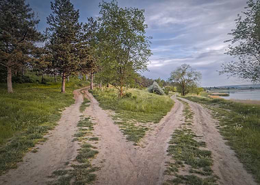 Fork in the Road Landscape