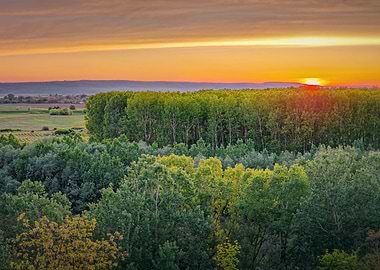 Sunset over a lush green forest