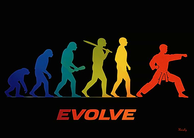 Evolution of Martial Arts, karate