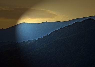 Mountain range with bird in flight