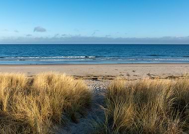 Beach scene with dune grass
