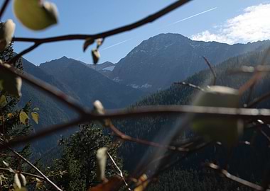 McDonald Peak Mountain View Through Branches