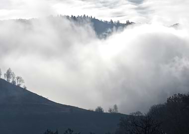 Misty Mountain Landscape