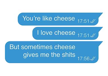Funny Text Message About Cheese