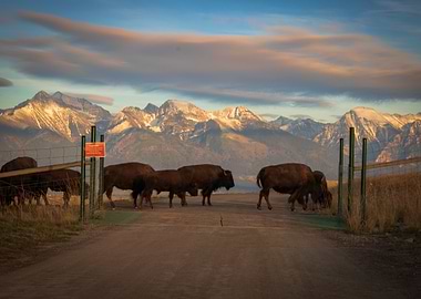 Western Montana Traffic Jam