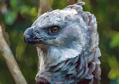 Harpy Eagle Portrait Painting