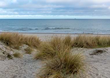 Baltic Sea Beach with Dune Grass and Ocean View