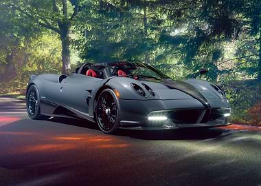 Gray Pagani Huayra Roadster in Nature