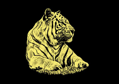 Yellow Tiger on Black Background
