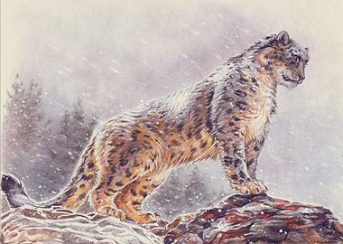 Snow Leopard in Winter Landscape Painting