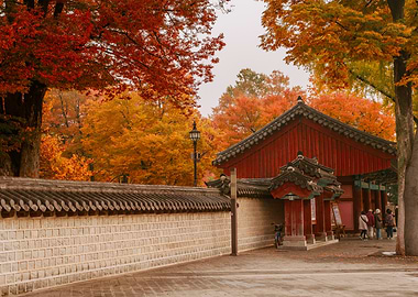 Autumn scene in Jeonju, South Korea