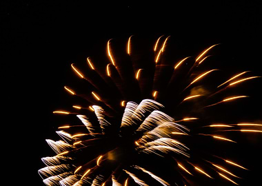 Photography of Golden Fireworks Display Against Night Sky