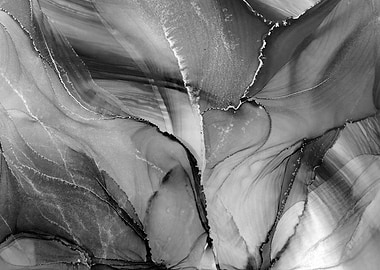 Abstract Black and White Ink Fluid Art
