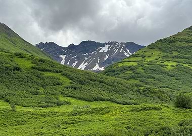 Green Mountain Valley with Snowy Alaskan Peaks