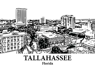Tallahassee Florida Skyline Drawing