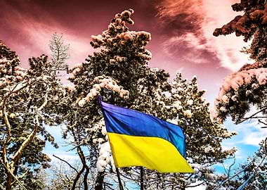 Ukrainian Flag Winter Forest